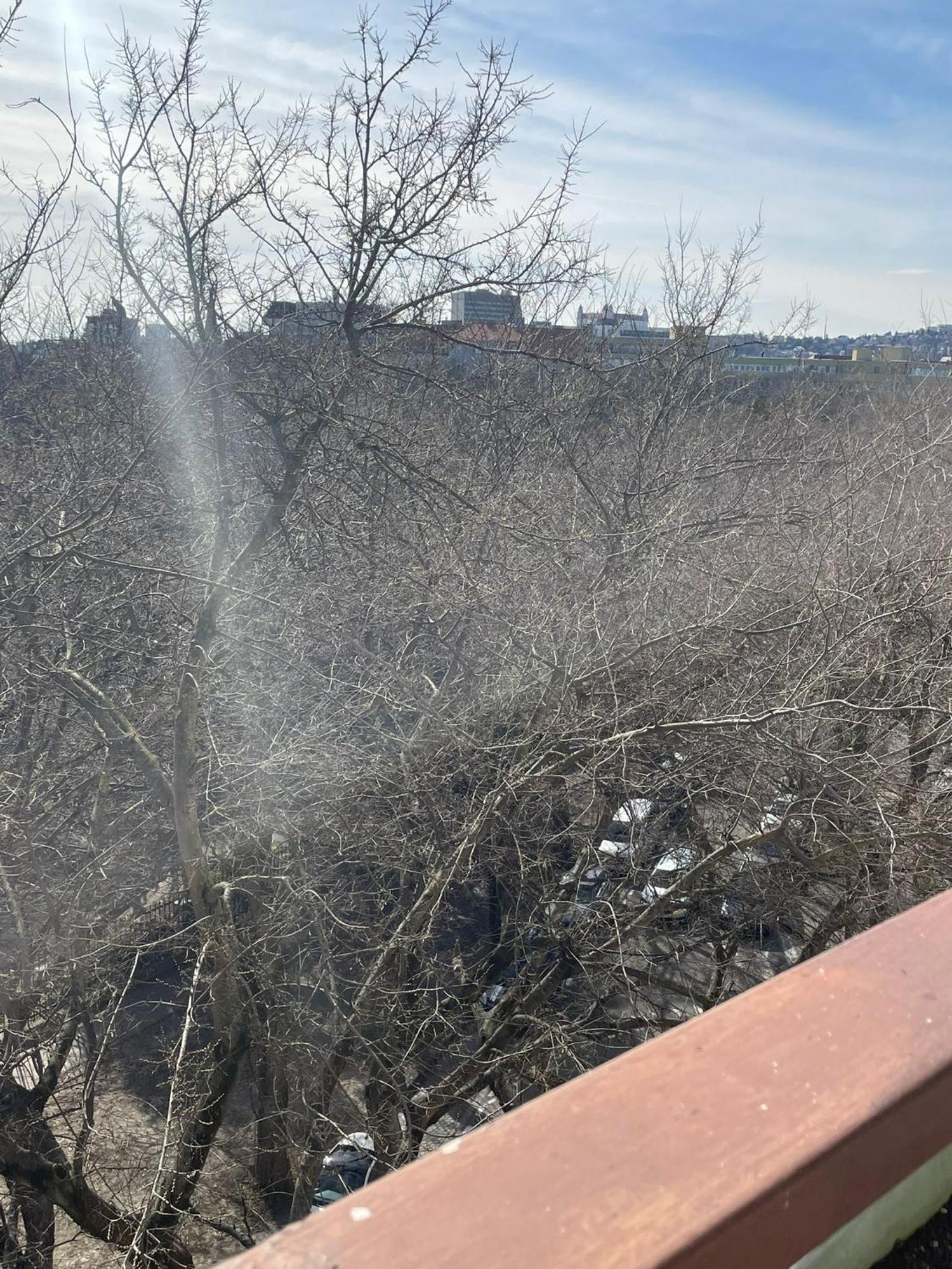 Park View City Center Location Apartment With Balcony Bratislava Exteriör bild
